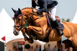 Mijten Bij Paarden PrimeVal mijten-bij-paarden-primeval