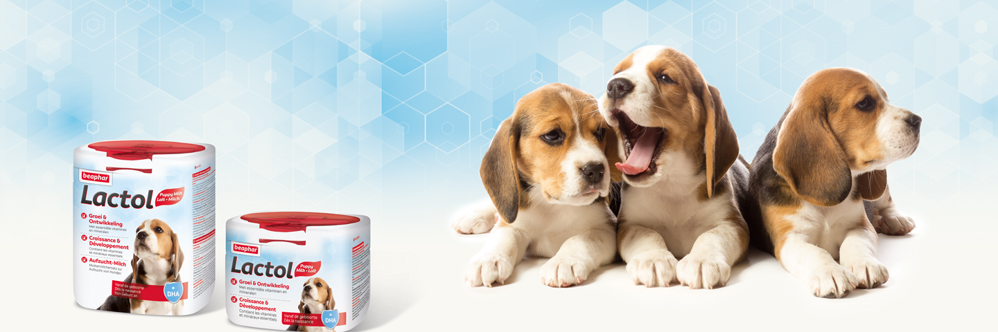 Beaphar lactol milk top supplement for puppies