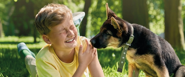 Lintworm bij hond en kat, alles wat je moet weten - Beaphar