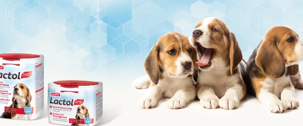 Beaphar Lactol Puppy Milk Beaphar