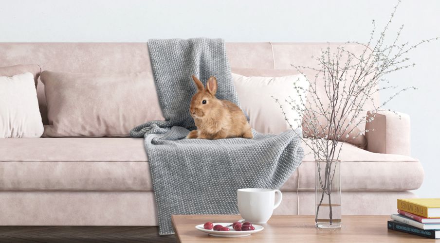 Beaphar RabbitComfort