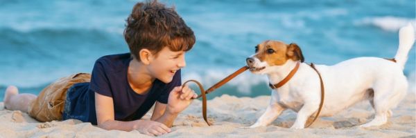 hond mee op vakantie