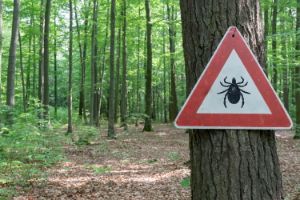 teken waarschuwing in bos