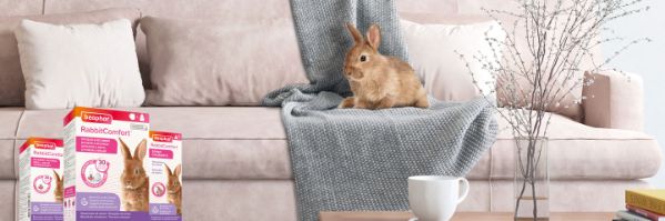 Calmante Conigli Ansia Beaphar RabbitComfort - Ricarica Antistress Per Conigli, 48ml, Dura 30 Giorni Feromoni Antistress Conigli