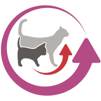 Normal development icon
