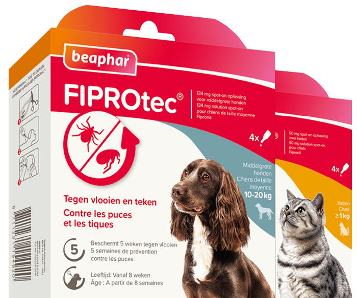 Fiprotec combo - Spot-on pour chiens moyens 10-20 kg , puces tiques et poux  broyeurs, 3 pipettes - BEAPHAR