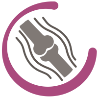 Bones and muscles icon
