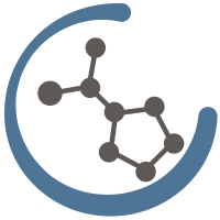 Brain and vision icon