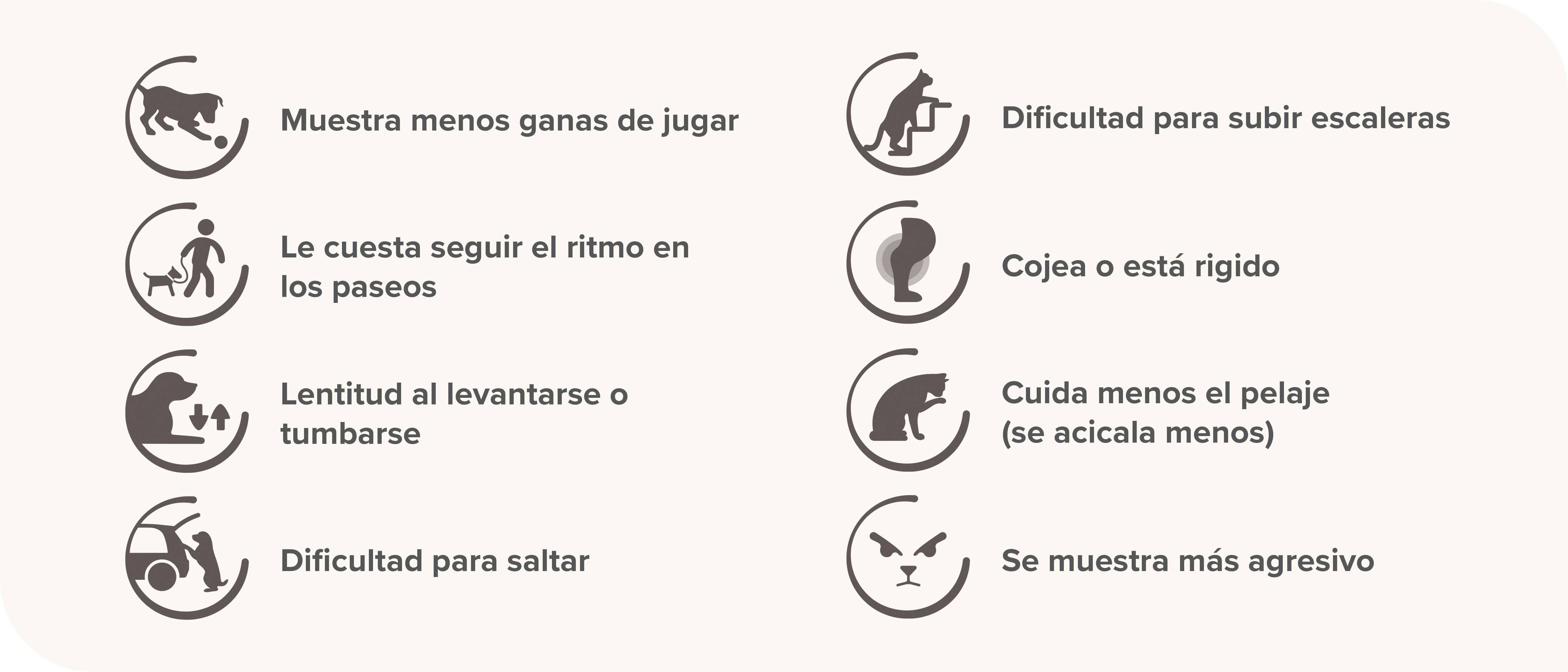 Síntomas de dolor articular en perros y gatos