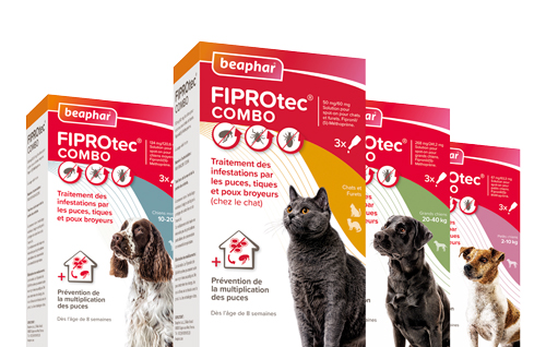 Fiprotec 67 mg- solution antiparasitaire spot-on pour chien de 2 à