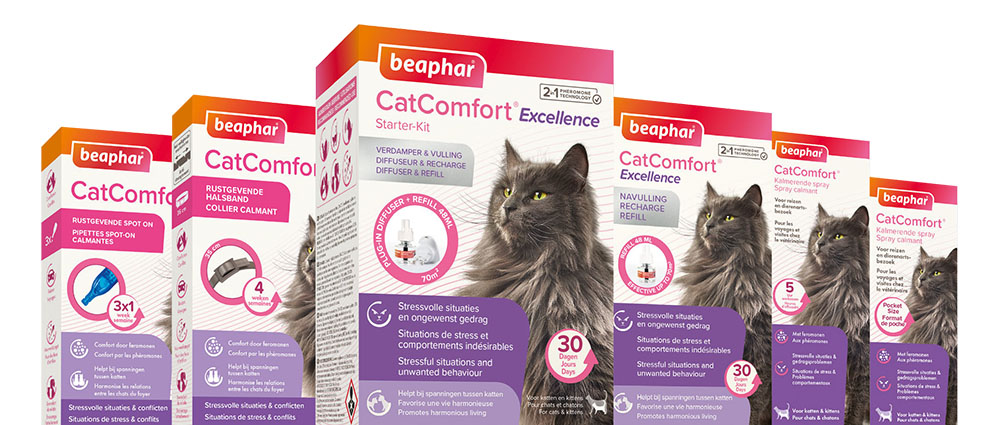 Gamme CatComfort®, aide votre chat à se sentir bien et apaisé en toutes  circonstances - Beaphar