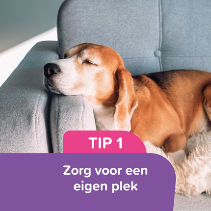 Vuurwerkangst tip 1